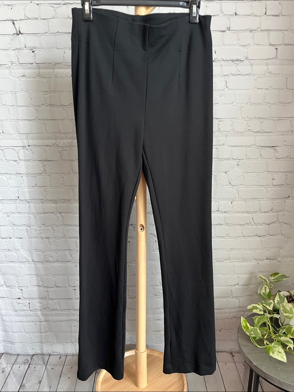 NEW Express Columnist Black Women's Pants
